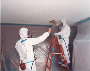 Asbestos Removal
